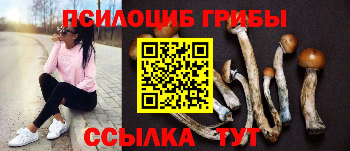 Галлюциногенные грибы мицелий  Вход с VPN  Азов  Галлюциногенные грибы ЛСД 